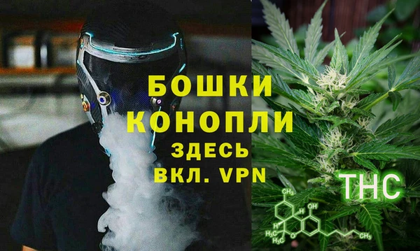 ГАЛЛЮЦИНОГЕННЫЕ ГРИБЫ Покачи